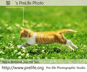 黎劍's PreLife Photo