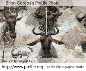 Brian Gardas's PreLife Photo