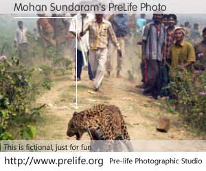 Mohan Sundaram's PreLife Photo