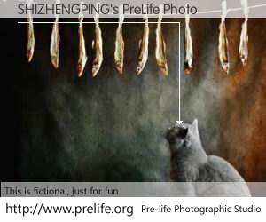 SHIZHENGPING's PreLife Photo