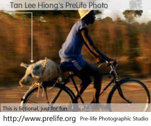 Tan Lee Hiong's PreLife Photo