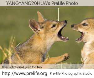 YANGYANG20HUA's PreLife Photo