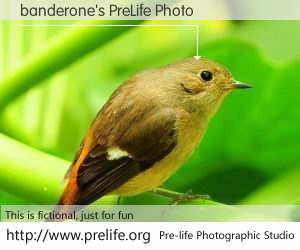 banderone's PreLife Photo