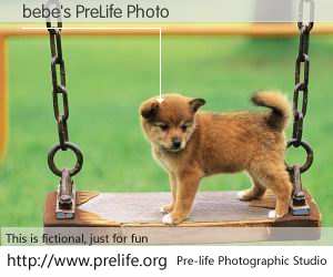 bebe's PreLife Photo