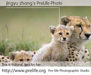 jingyu zhang's PreLife Photo