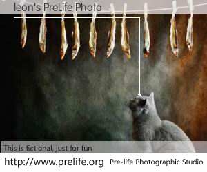 leon's PreLife Photo