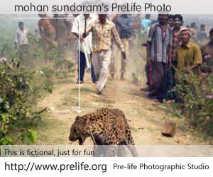 mohan sundaram's PreLife Photo