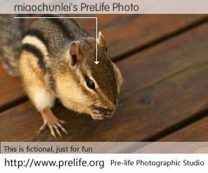 miaochunlei's PreLife Photo