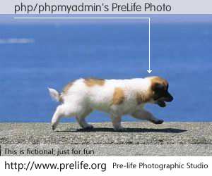 php/phpmyadmin's PreLife Photo