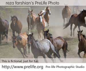 reza farshian's PreLife Photo