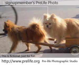 signupmember's PreLife Photo