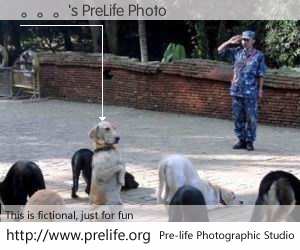 。。。's PreLife Photo