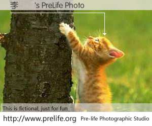 李駿偉's PreLife Photo