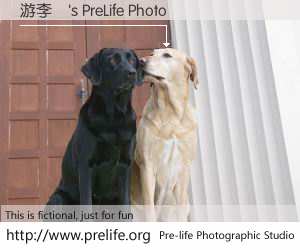 游李興's PreLife Photo