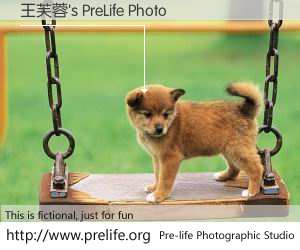 王芙蓉's PreLife Photo