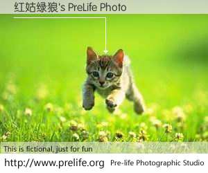 红姑绿狼's PreLife Photo