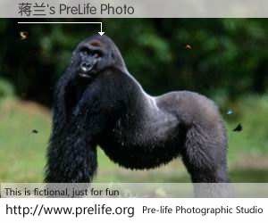 蒋兰's PreLife Photo