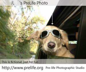 鏉ㄦ櫠's PreLife Photo