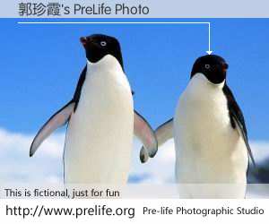 郭珍霞's PreLife Photo