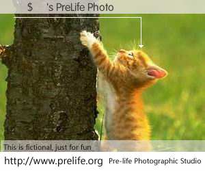 钄$嚂's PreLife Photo