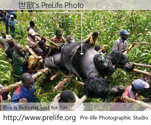 龍世歆's PreLife Photo
