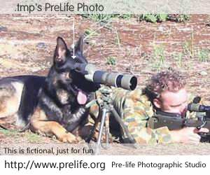 .tmp's PreLife Photo