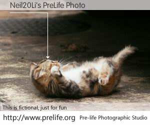 Neil20Li's PreLife Photo