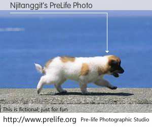 Njitanggit's PreLife Photo