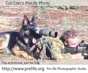 Cai Can's PreLife Photo