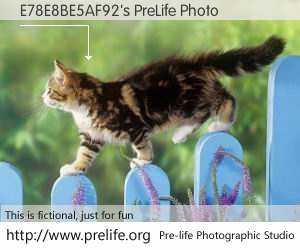 E78E8BE5AF92's PreLife Photo