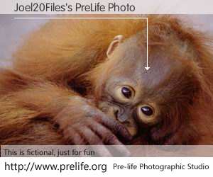 Joel20Files's PreLife Photo