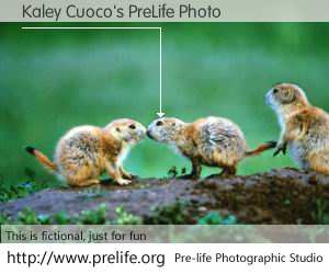 Kaley Cuoco's PreLife Photo