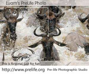 Luam's PreLife Photo