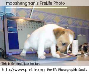 maoshengnan's PreLife Photo