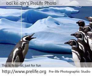 ooi ke qin's PreLife Photo