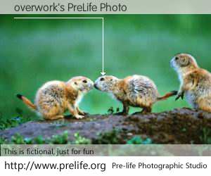 overwork's PreLife Photo