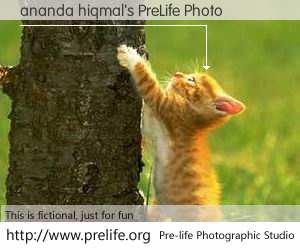 ananda hiqmal's PreLife Photo