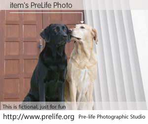 item's PreLife Photo