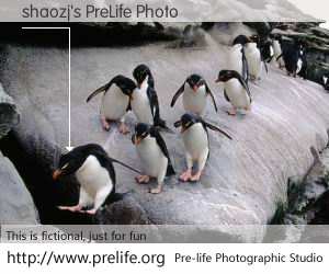 shaozj's PreLife Photo