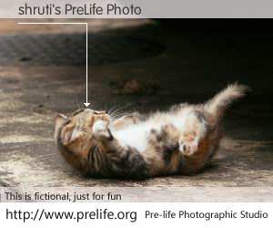 shruti's PreLife Photo
