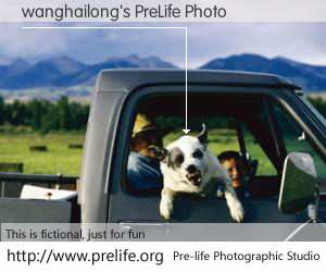 wanghailong's PreLife Photo