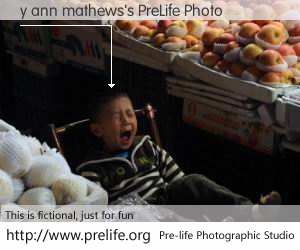 y ann mathews's PreLife Photo