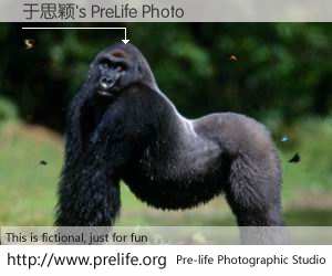 于思颖's PreLife Photo