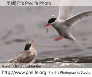吴婉君's PreLife Photo
