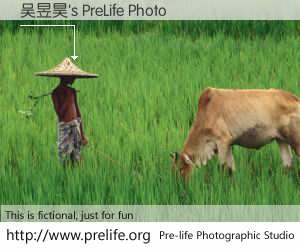吴昱昊's PreLife Photo