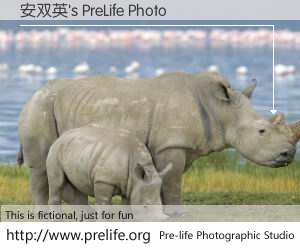 安双英's PreLife Photo
