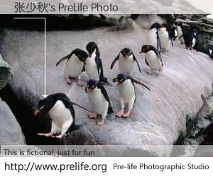 张少秋's PreLife Photo