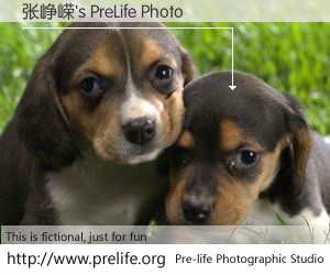张峥嵘's PreLife Photo