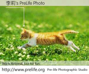 李莉's PreLife Photo
