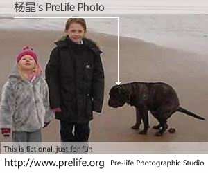 杨晶's PreLife Photo